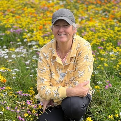 JennyPaPB's profile picture. 