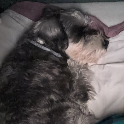 gunluggumm's profile picture. her yasam degerli ve biriciktir🌱