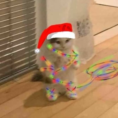 apsoldenia's profile picture. Türk olmam benim üst kimliğimdir. @apsoldenia2