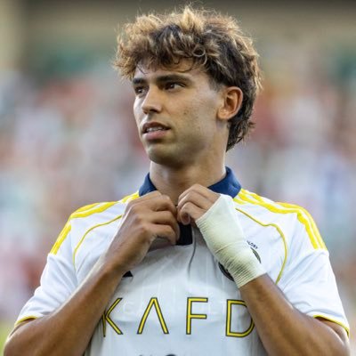 joaofelix70's profile picture. Instagram:joaofelix79