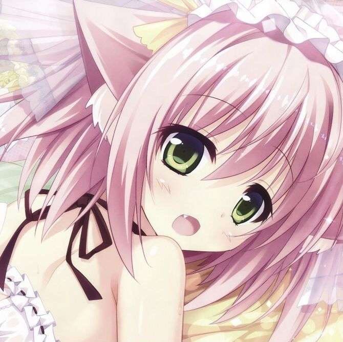 Emersonncey's profile picture. Former junkie