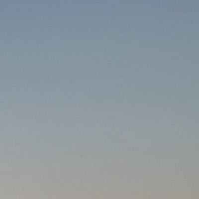 dh_x24's profile picture. .