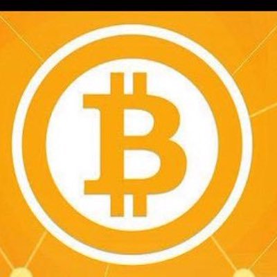bitcoin955's profile picture. 