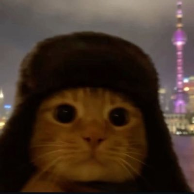 Wary0n's profile picture. 