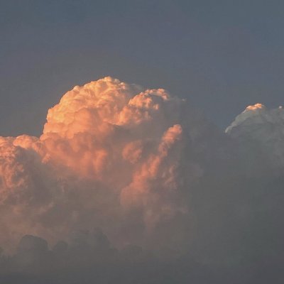 huangmaoheimao's profile picture. Multa renascentur quae iam cecidere, cadentque quae nunc sunt in honore.