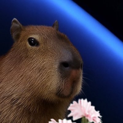 Hawk5510's profile picture. 