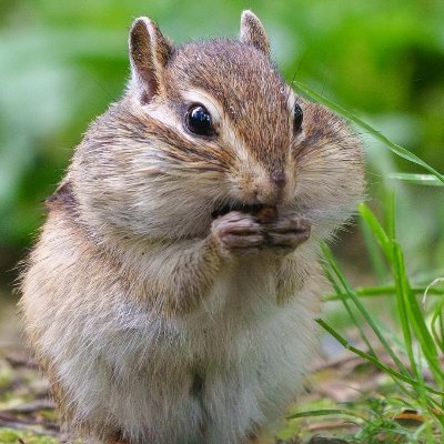 0xDeepRed's profile picture. Nothing ever happens