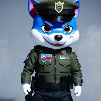 PINGULUX's profile picture. SAT, TV ,VIDEO, AUDIO, WI-FI, IPTV, CCTV, ALARM, GSM, MOBILE, FFTH. @LitecoinCash & @ringcointech Moderator, @vitainucoin-💙VINU💙-HODL/S❤️nia