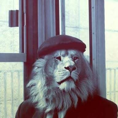 solipedo's profile picture. NADA TE LLEVARAS...CUANDO TE MARCHES....VIVE FELIZ AHORA...MUERE SONRRIENDO.4TFOREVER..OBRADORISTA100%