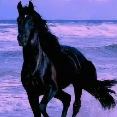 abogabi777's profile picture. 