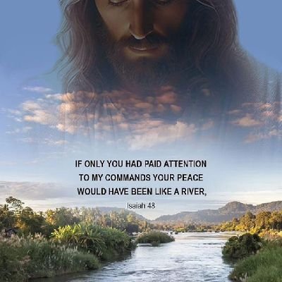 NfamaraSin79600's profile picture. 