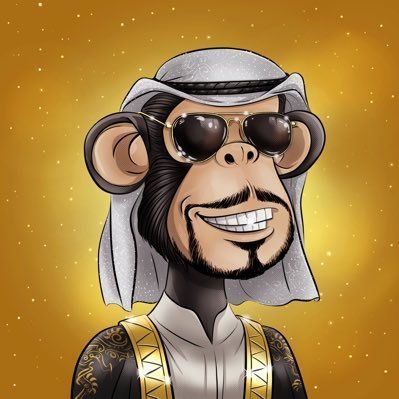 nft_thehid45498's profile picture. Explorer of the metaverse