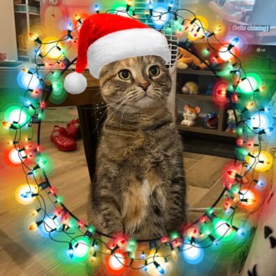 marbledacat's profile picture. 