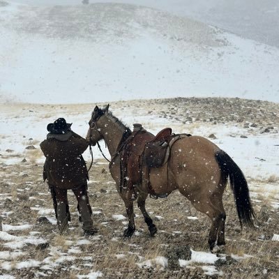 BrianBigSky's profile picture. 