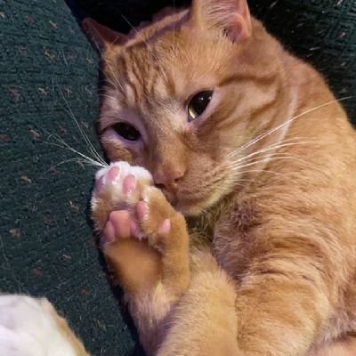 jessicaksandres's profile picture. 🤗