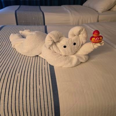 AmzAerSao's profile picture. Just another putz out here watching all the other putzes of the world