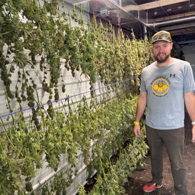 TerpVault's profile picture. 