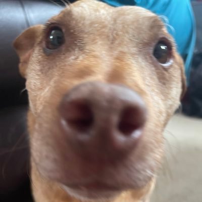 8m2k5's profile picture. 80K+ on tiktok | DMs open for work