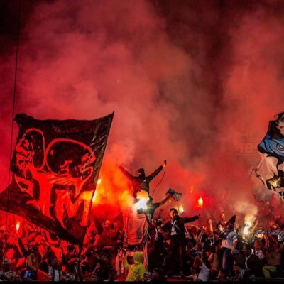 noxynuve's profile picture. massilia 👊🏽