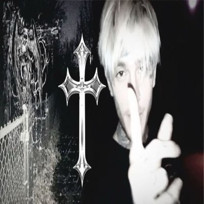 silvexster's profile picture. @vascodagama