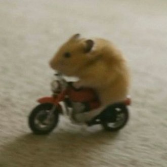 Mirror_Complex's profile picture. Enjoy my brain slop