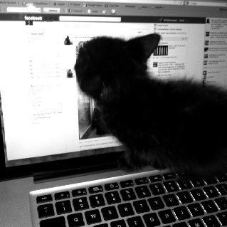 rmaiio1's profile picture. 