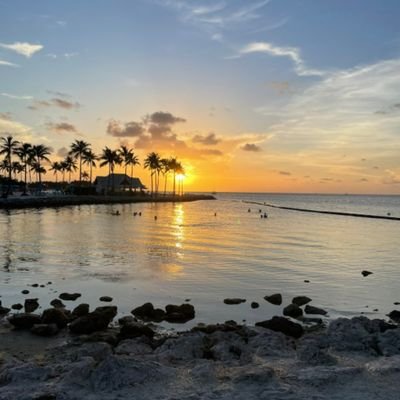 Zac476743276761's profile picture. 