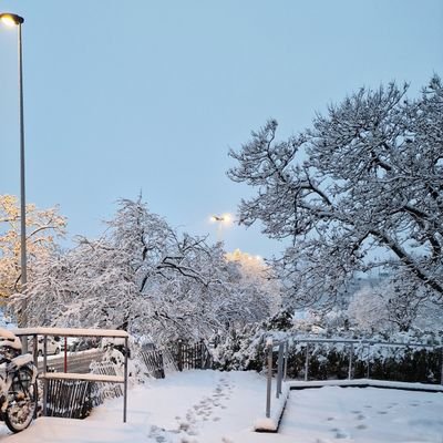 أم عبد القهار Profile