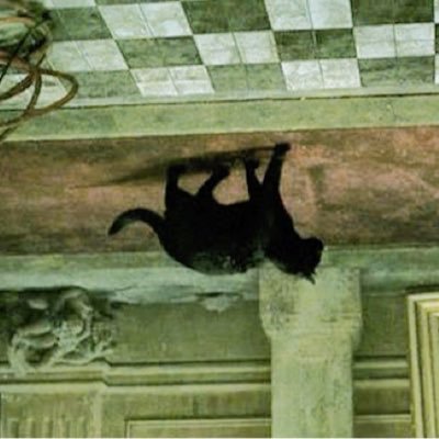 InternPhd's profile picture. -
Quantifying practical application from theoretical capability on sight.
-
I do not miss.
-
#TheRealDeal*
-
Overview Effect
-
InfoSec | CyberSec | Python | R
-