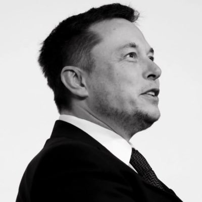 ElonChat566's profile picture. 