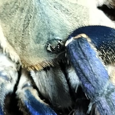 kuwa_00200's profile picture. 日常兼生き物垢兼ねてますアニメor漫画オタクです