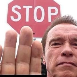 catcharecycler's profile picture. i post original tweets and shame copy cats..                            Make Twitter Great Again 🦅.