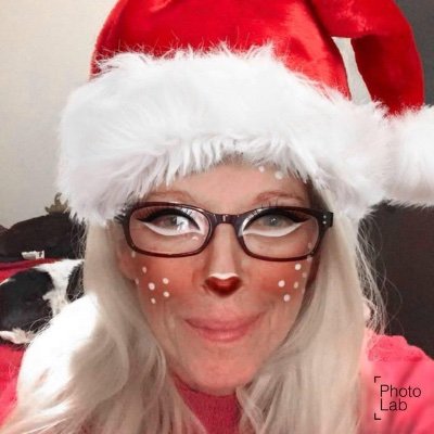 mightymouse220's profile picture. 🇨🇦🇱🇷🇨🇦Canadian GrandmaBear #ChildrenMatter #IFBAP
🚫 DMs no porn no crypto