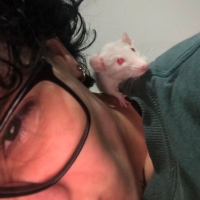 dudinha_ssss's profile picture. 