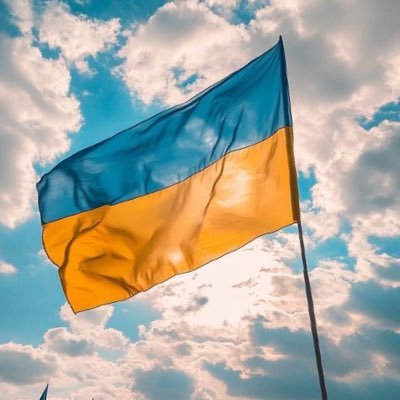 TherapyLounge_'s profile picture. Ukrainian Army 🇺🇦The 4th Ukrainian devoted Attack Brigade ⚔️fighting against Russian Invasion RIGHT NOW. Glory to UA #SlavaUkraini❤️‍🩹🇺🇦