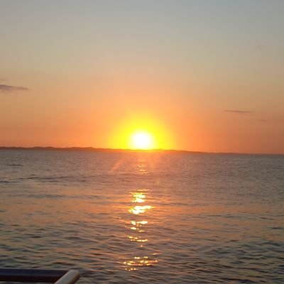 Reginaldo17036's profile picture. 