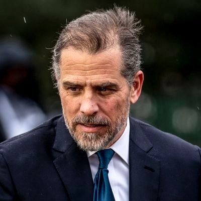 BidenBegins's profile picture. 🌹DSA PaleoCon🦣