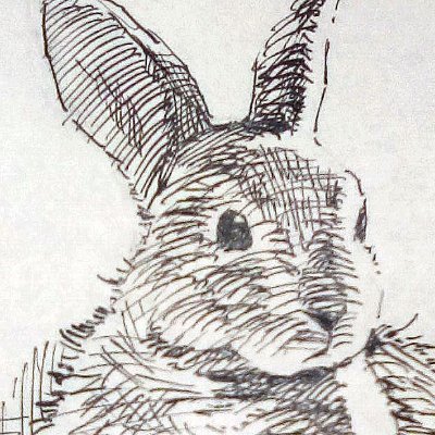 eshfjish's profile picture. 