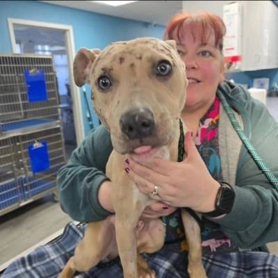 JoelineSplace's profile picture. 501(c)(3) Non profit organisation 
Rescueing and rehoming abandoned animals in New York 
📍380 New York St NW Chinook,MT 59523