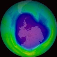 BIGBABYGUCCI's profile picture. 