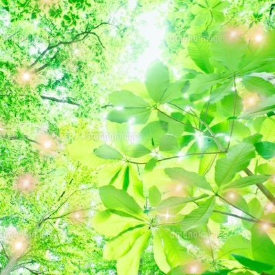 quinn_concierge's profile picture. いじめ・ハラスメント被害者×元教育委員会職員×現役人事 学校にも職場にも守られなかった経験があります。 教育委員会と人事の経験から、 「なぜ組織が動かないか」 「組織を動かす方法」 を学びました。 あなたとお子さんを守るための具体策を発信します。 #いじめ #学校 #被害者