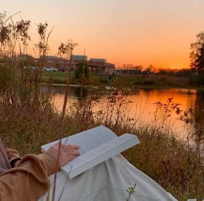 shaymaa_nofal's profile picture. 