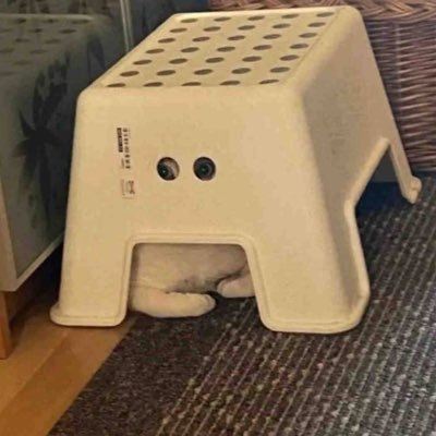 themeforr's profile picture. 