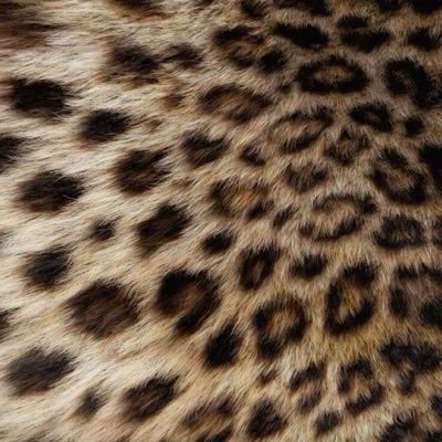 JahtyaMercedes's profile picture. 𝑮𝒐𝒅, 𝑬𝒄𝒐𝒏𝒐𝒎𝒊𝒄𝒔, 𝒂𝒏𝒅 𝑳𝒐𝒗𝒆
🌅🪷🌳