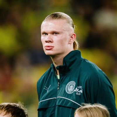 erlingera19's profile picture. Nigerian 🇳🇬🇬🇧, / @ErlingHaaland fan account / Bigwiz🦅❤️