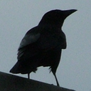 tt's profile picture. 