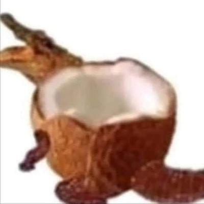 RtSnIb03's profile picture. 