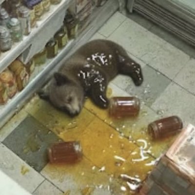 Holdusmaximus's profile picture. 