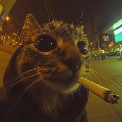 JackCannonTV's profile picture. The Captain.
The Nation.
Quality builds quantity. 
Find me.