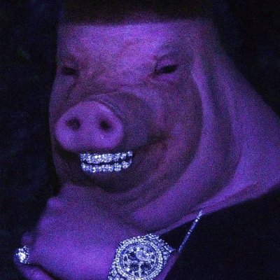 bosnianbekrija's profile picture. instytut resentymentologii limitrofiackiej